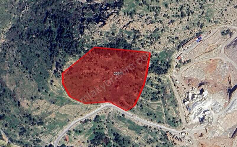 Turizm Cenneti Bodrum’da Dev Satış: İller Bankası 5 Tarım Arazisini Yeniden İhaleye Çıkarıyor 5